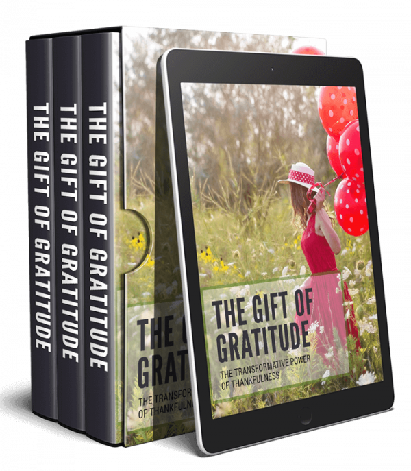 Gift of Gratitude - Image 3