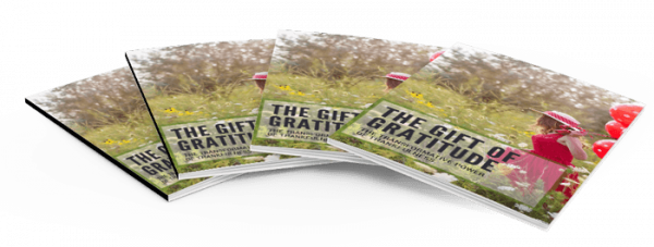 Gift of Gratitude - Image 4